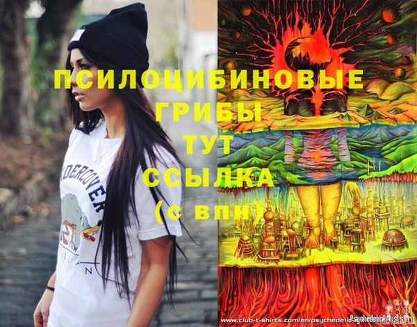 герыч Алзамай